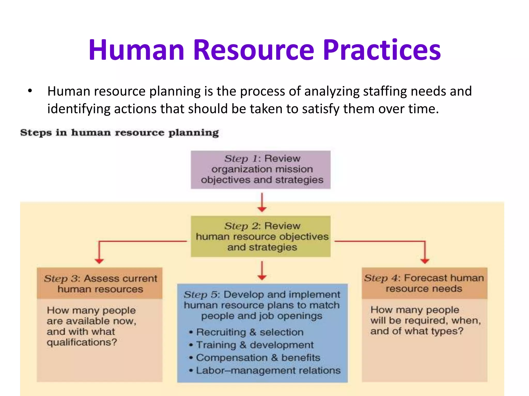 Human Resource Practices
• Human resource planning is the process of analyzing staffing needs and
  identifying actions that should be taken to satisfy them over time.
 