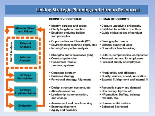 career development strategy