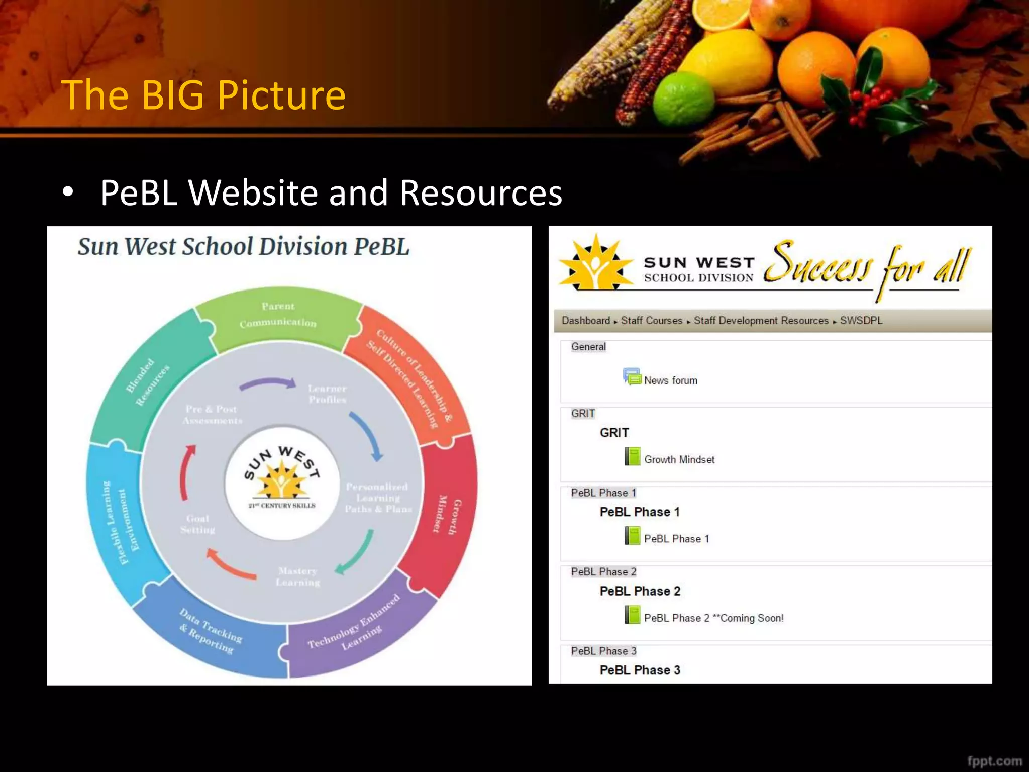 The BIG Picture
• PeBL Website and Resources
 