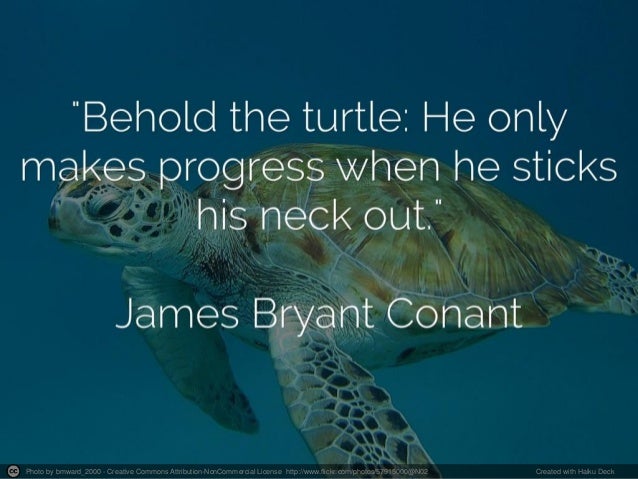 photo by sasky saves career development quotes