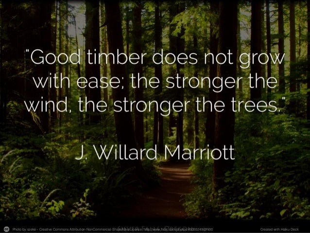photo by rovanto creative career development quotes