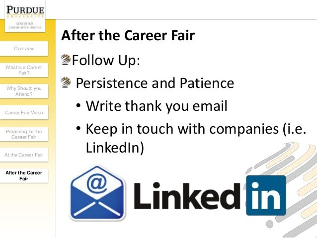 thank you email after career fair