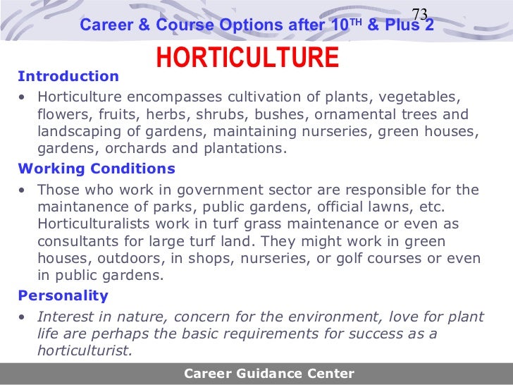 Career guidance