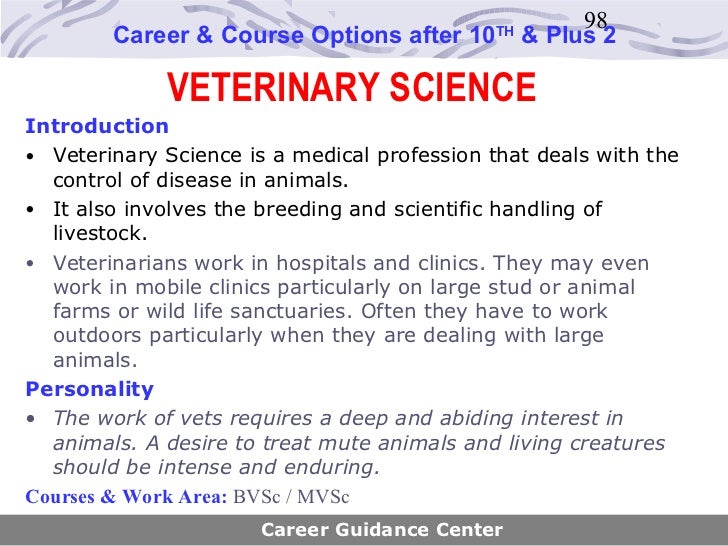 Career guidance