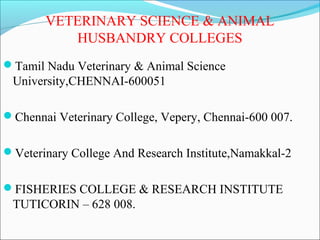 VETERINARY SCIENCE & ANIMAL
          HUSBANDRY COLLEGES
Tamil Nadu Veterinary & Animal Science
 University,CHENNAI-600051

Chennai Veterinary College, Vepery, Chennai-600 007.


Veterinary College And Research Institute,Namakkal-2


FISHERIES COLLEGE & RESEARCH INSTITUTE
 TUTICORIN – 628 008.
 