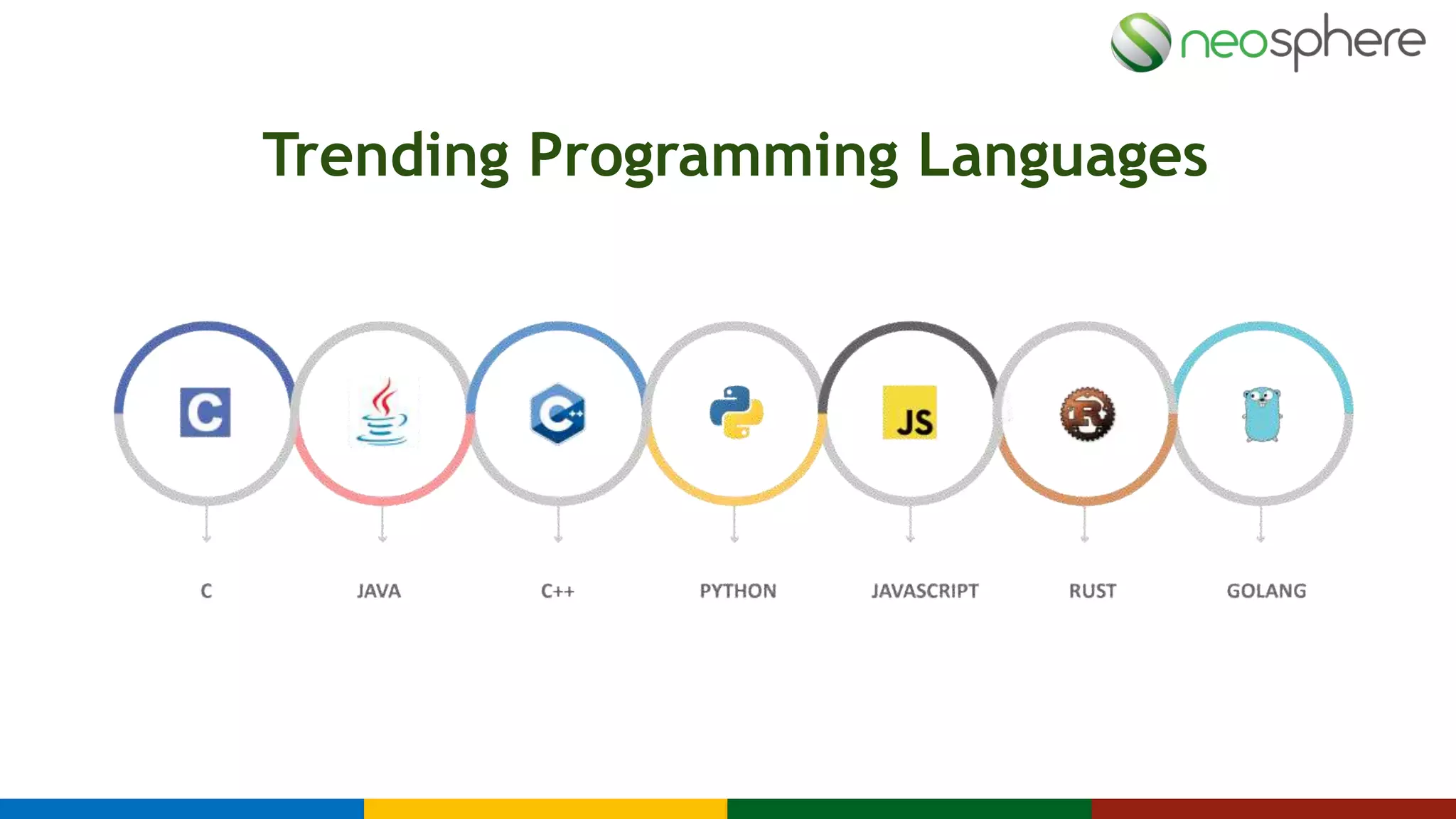 Career Development in Programming Sector | PPTX
