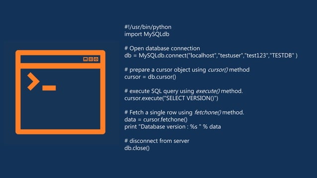 Career Development in Programming Sector | PPTX | Programming Languages ...