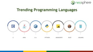 Career Development in Programming Sector | PPT