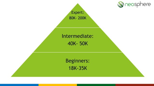 Career Development in Programming Sector | PPTX | Programming Languages ...