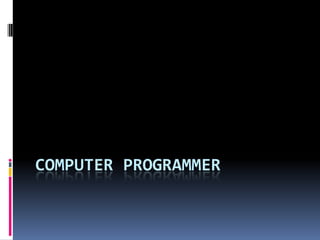 Computer Programmer 