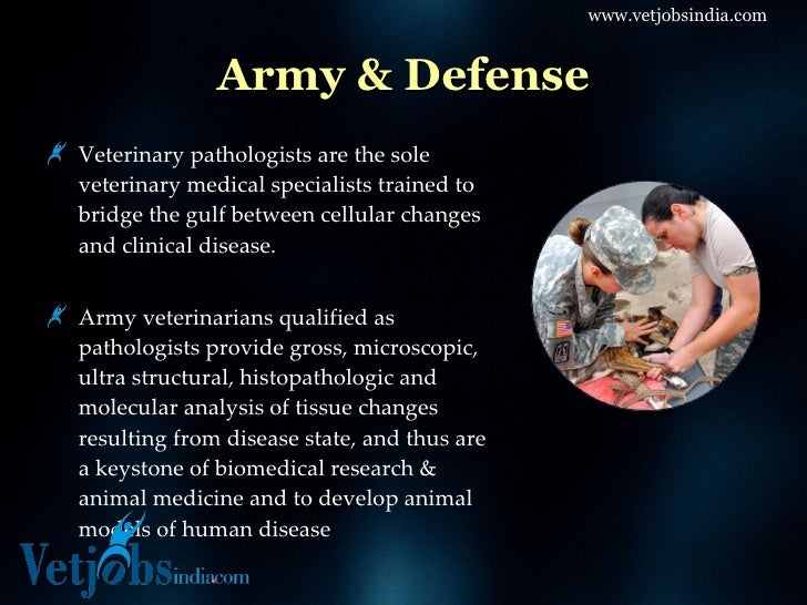 Career in Veterinary Pathology