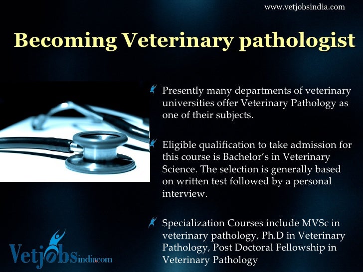 Career in Veterinary Pathology