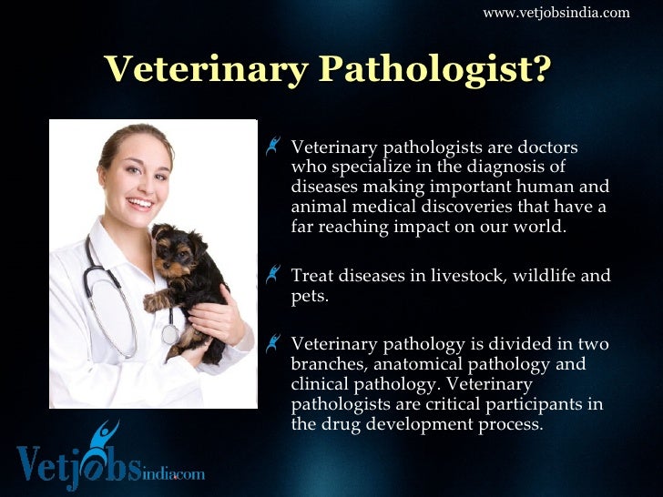 Career in Veterinary Pathology