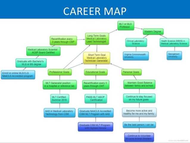 Career Concept Map career-concept-map