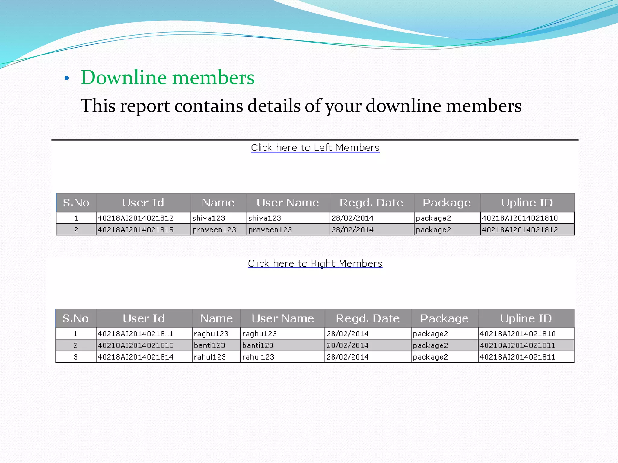 • Downline members
This report contains details of your downline members
 
