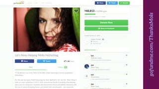 gofundme.com/ThanksMols