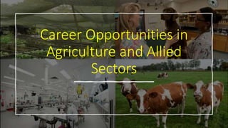 Career Opportunities in
Agriculture and Allied
Sectors
 