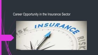 Career Opportunity in the Insurance Sector
 
