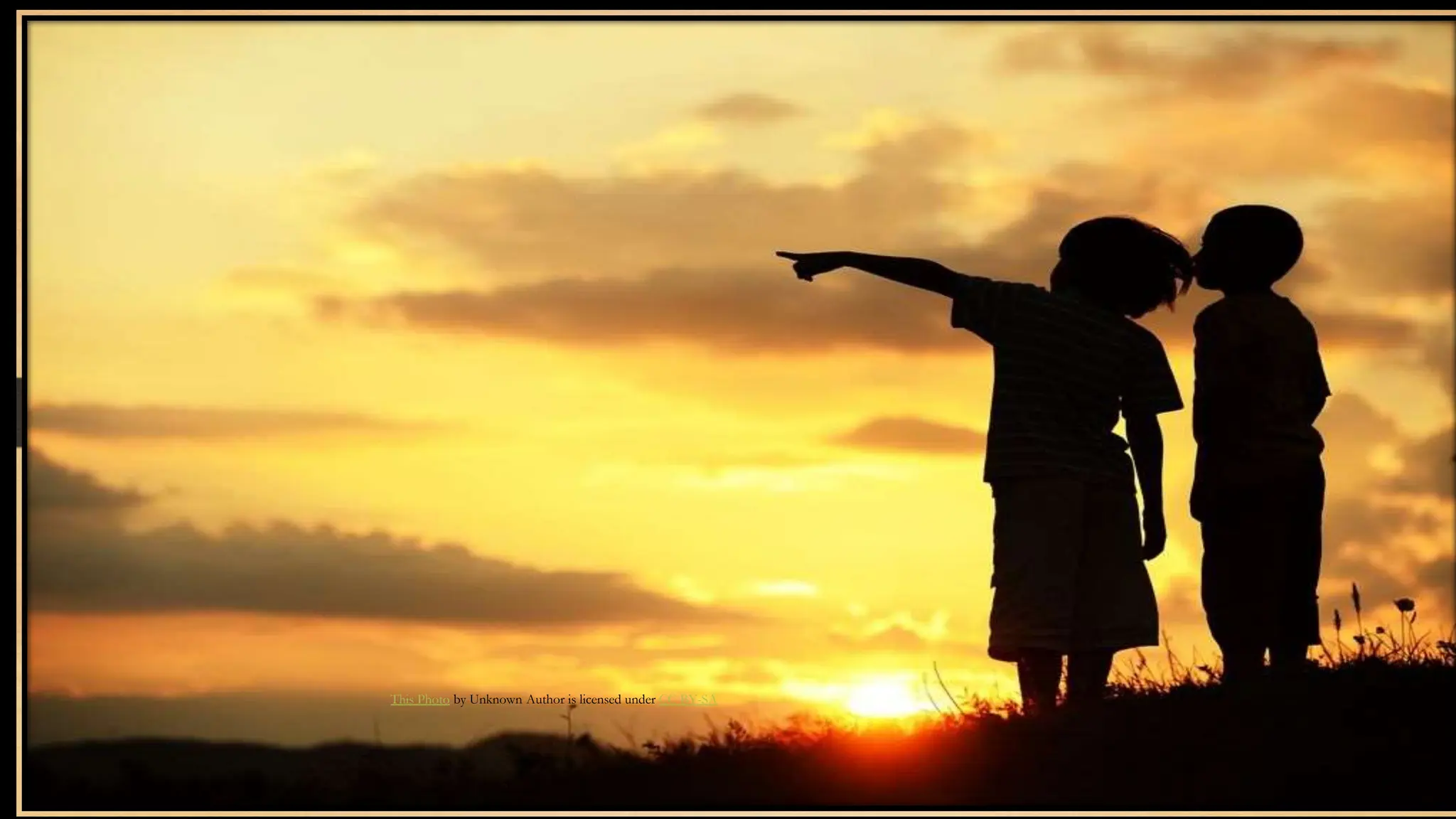 Career Options.pptx-A ppt on general career guidance after XII standard ...