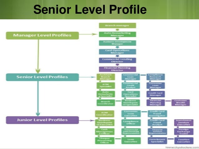 Career Path In Banking Sector