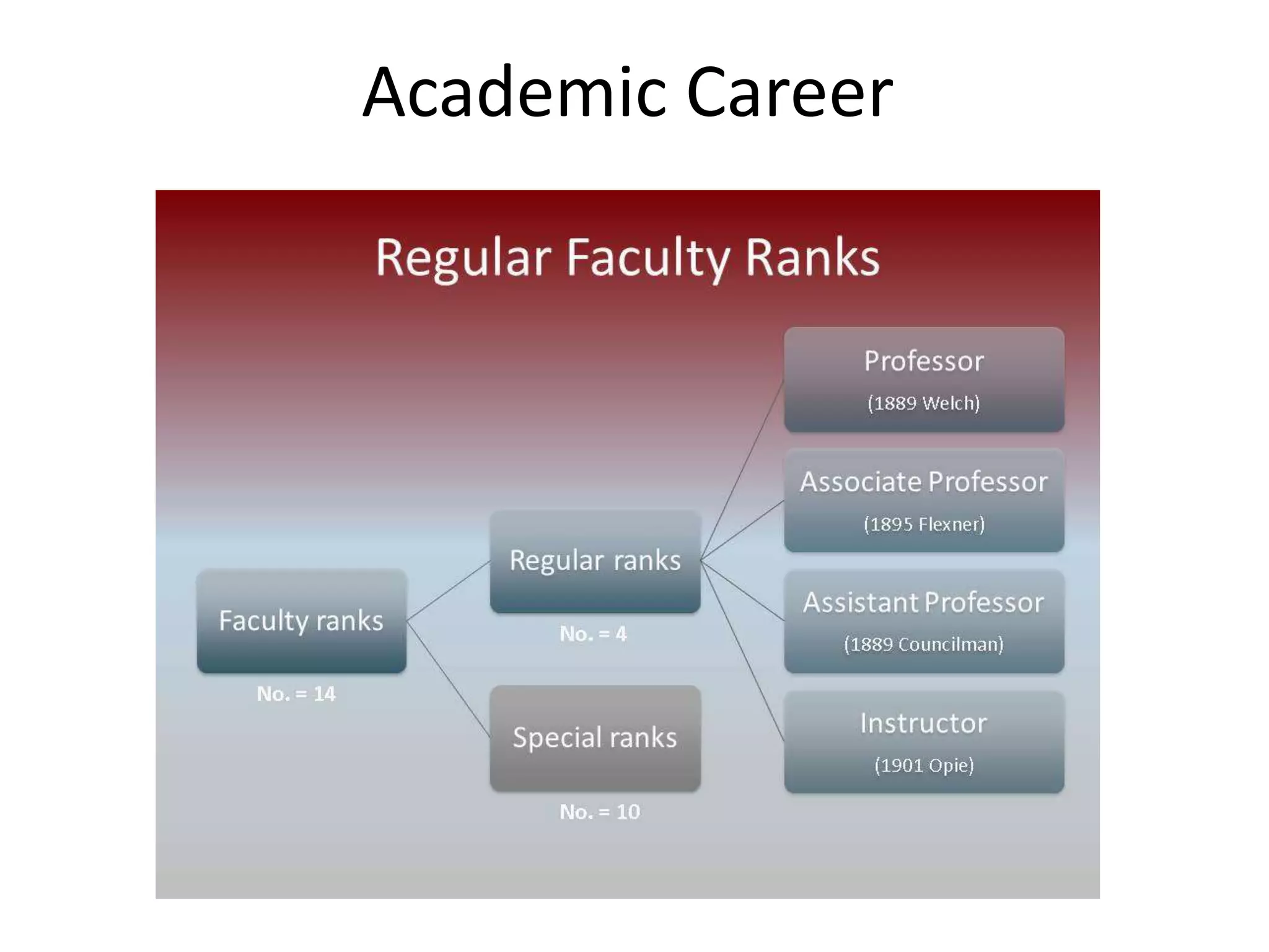 Academic Career
 