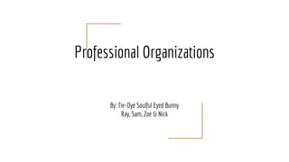 Professional Organizations
By: Tie-Dye Soulful Eyed Bunny
Ray, Sam, Zoe & Nick
 