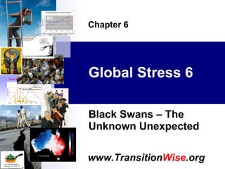 Global Stress 6 Black Swans – The Unknown Unexpected Chapter 6 