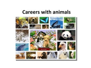 Careers with animals 