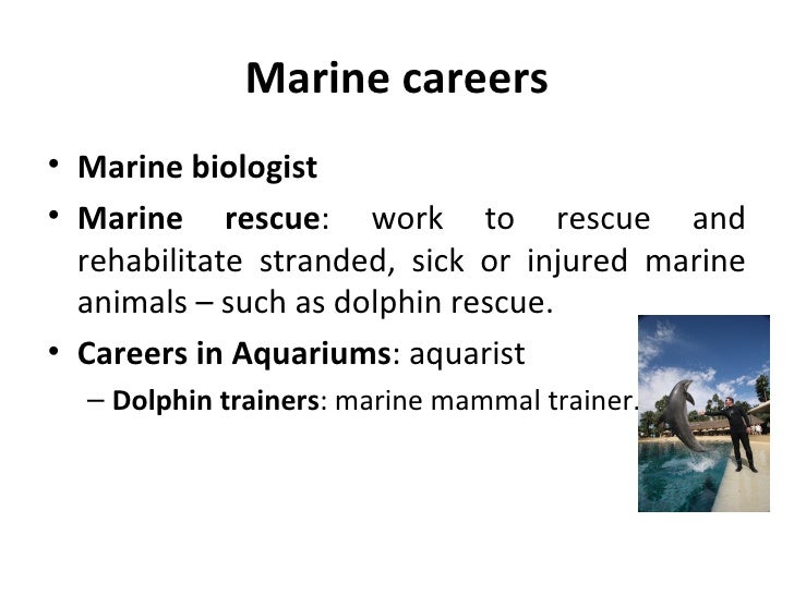 NA1 Careers With Animals