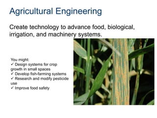 Agricultural Engineering
Create technology to advance food, biological,
irrigation, and machinery systems.
You might:
 Design systems for crop
growth in small spaces
 Develop fish-farming systems
 Research and modify pesticide
use
 Improve food safety
 