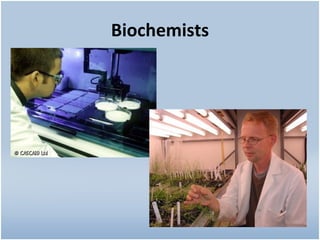 Biochemists 