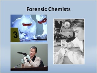 Forensic Chemists 