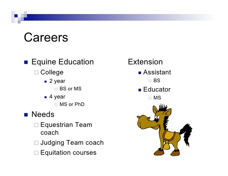 Careers In Equine Industry 09