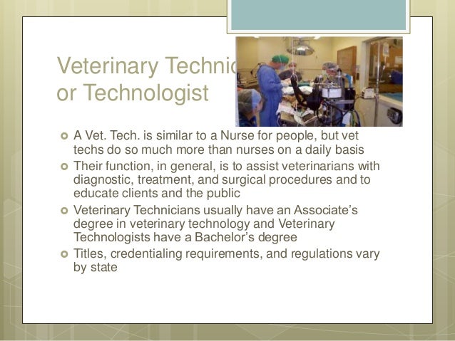 vet degree rome fontanacountryinn com vet degree