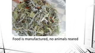 Food is manufactured, no animals reared
 