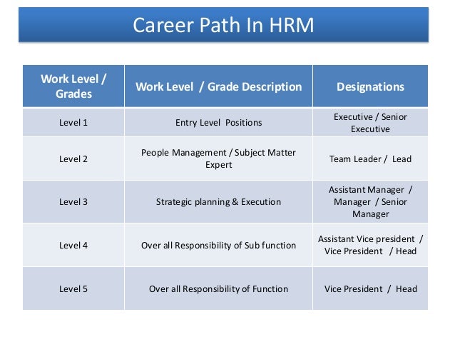 executive career level under fontanacountryinn com executive career level