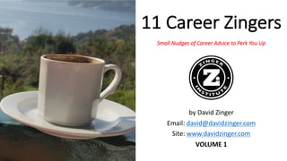 11	Career	Zingers
Small	Nudges	of	Career	Advice	to	Perk	You	Up
by	David	Zinger
Email:	david@davidzinger.com
Site:	www.davi...