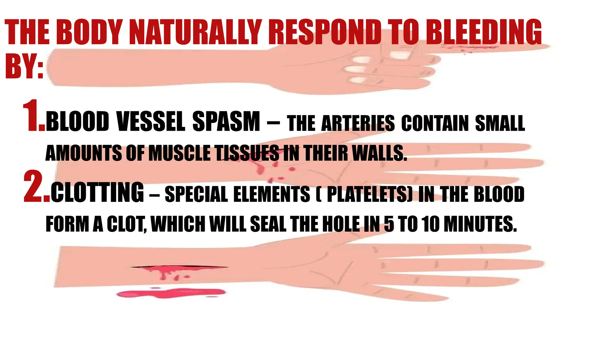 THE BODY NATURALLY RESPOND TO BLEEDING
BY:
1.BLOOD VESSEL SPASM – THE ARTERIES CONTAIN SMALL
AMOUNTS OF MUSCLE TISSUES IN THEIR WALLS.
2.CLOTTING – SPECIAL ELEMENTS ( PLATELETS) IN THE BLOOD
FORM A CLOT, WHICH WILL SEAL THE HOLE IN 5 TO 10 MINUTES.
 
