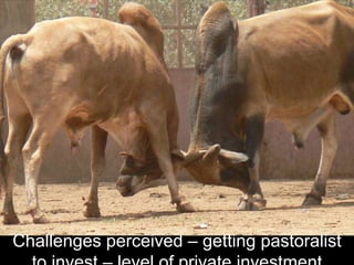 CARE Ethiopia Pastoral Livelihoods Programs in Oromia Region