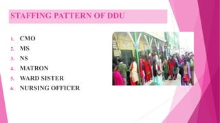 STAFFING PATTERN OF DDU
1. CMO
2. MS
3. NS
4. MATRON
5. WARD SISTER
6. NURSING OFFICER
 