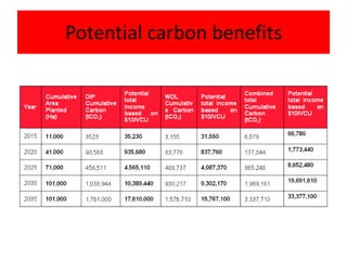 Potential carbon benefits
 