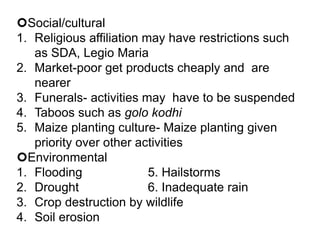 Social/cultural
1. Religious affiliation may have restrictions such
   as SDA, Legio Maria
2. Market-poor get products cheaply and are
   nearer
3. Funerals- activities may have to be suspended
4. Taboos such as golo kodhi
5. Maize planting culture- Maize planting given
   priority over other activities
Environmental
1. Flooding               5. Hailstorms
2. Drought                6. Inadequate rain
3. Crop destruction by wildlife
4. Soil erosion
 