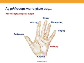 Ας μιλήσουμε για τα χέρια μας…
Αντίχειρας
Δείκτης
Μέσος
Παράμεσος
Μικρός
Παλάμη
Και τα δάχτυλα έχουν όνομα
Καρπός
ΗΛΙΑΝΑ ΣΤΑΥΡΟΥ
 