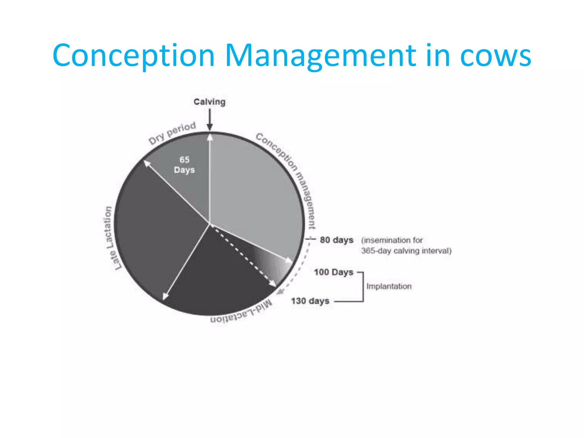 Care and Management of Pregnant Cows and Ewes | PPTX