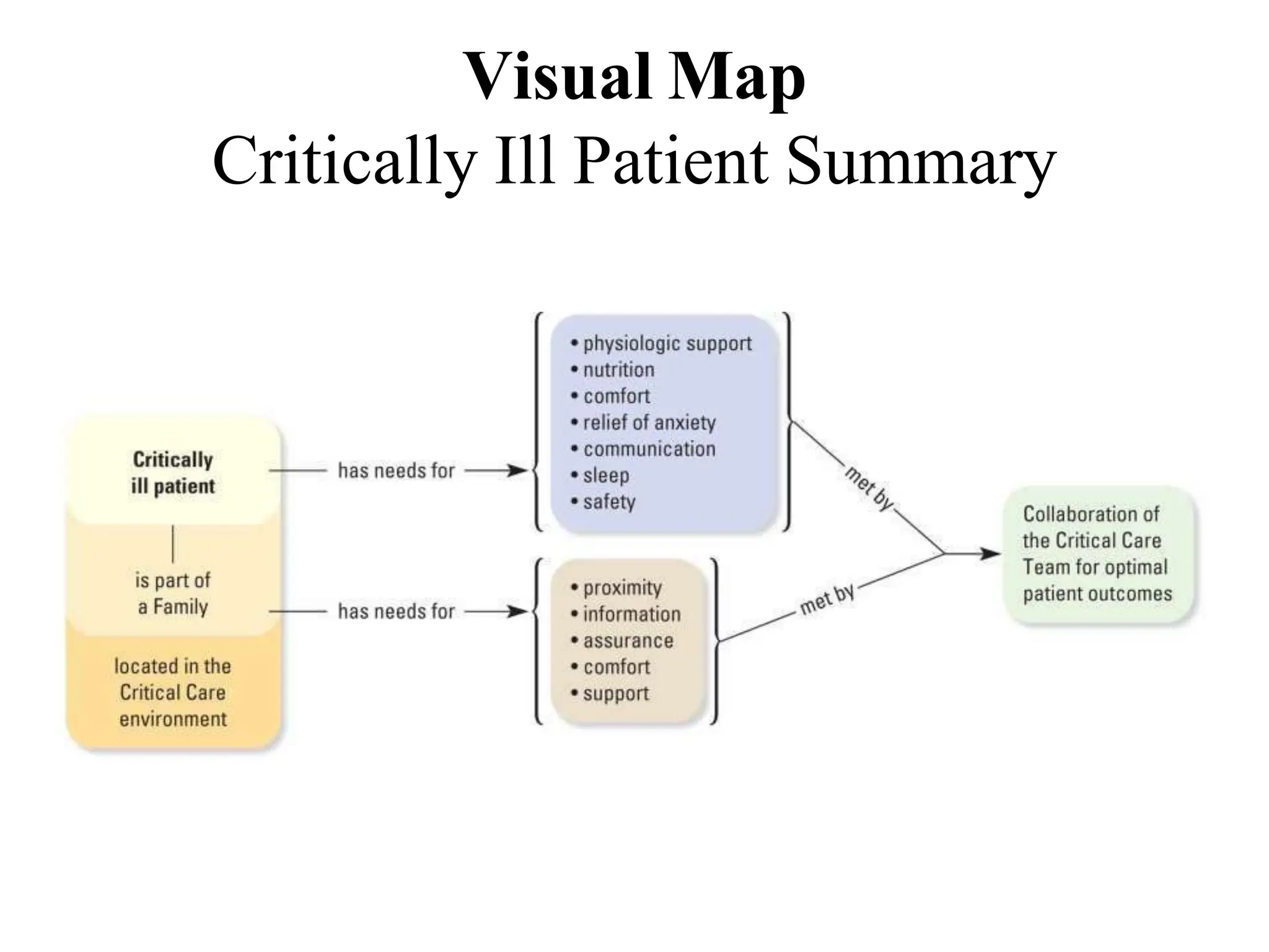 Visual Map
Critically Ill Patient Summary
 