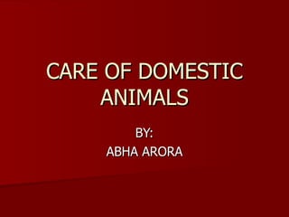 CARE OF DOMESTIC ANIMALS BY: ABHA ARORA 