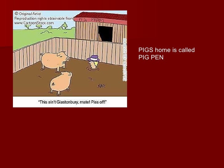 Care of domestic animals