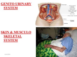 GENITO URINARY
SYSTEM
SKIN & MUSCULO
SKELETAL
SYSTEM
104/14/2016
 