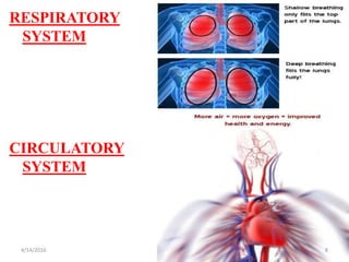 RESPIRATORY
SYSTEM
CIRCULATORY
SYSTEM
84/14/2016
 
