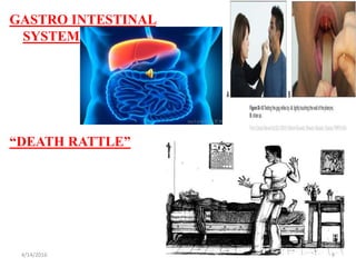 GASTRO INTESTINAL
SYSTEM
“DEATH RATTLE”
94/14/2016
 